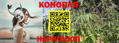 стаф Тулун