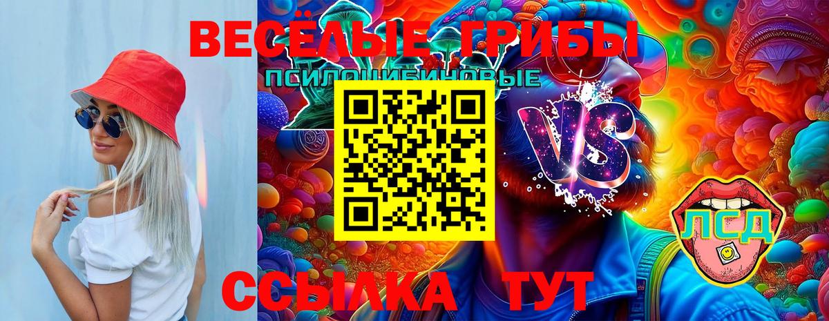Псилоцибиновые грибы GOLDEN TEACHER Москва